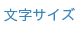 文字サイズ